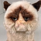 Vintage Gund Grumpy Cat 10 In Plush Himalayan Cat Kitty Stuffed Animal Blue Eyes