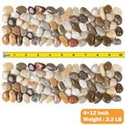 River Rock Stepping Stones Outdoor For Rec-12 lx4 w-multi-color  Multi-color 