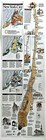 1990-9 September Manhattan   New York City Nyc National  Geographic Map Euc- A3 
