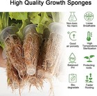50 Pack Hydroponic Grow Sponges Seed Pods Replacement  Growing System Plant    