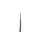 Premium Dental Kolinsky Brush Set     5pcs  0  2  4  6  8     Precision Dental Tools