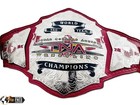 Tna World Tag Team Heavyweight Championship Replica Title Zinc 4mm Adult Size