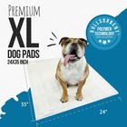 Bulldogology Pee Pads For Dogs Xl With Adhesive Sticky Tape  24x35  Dog Puppy