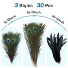 Piokio 30pcs Natural Feathers Bulk - Long Peacock Feathers  Pheasant