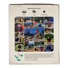 Birdfy Eco-friendly Bird Feeder With Camera   Solar Power Panel