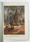 Old Papua New Guinea Print - Tolai Dukduk Dancers Rabaul - 1890s - Png Art Rare