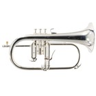 Yamaha Model Yfh-8310ziis Custom Z  bobby Shew  Bb Flugelhorn Mint Condition