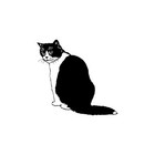 Black Cat Kitty For Macbook Air pro Laptop Car Window Bumper Vinyl Decal Sticker