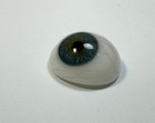 Antique German Hand-blown Human Prosthetic Glass Eye   Blue 