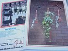 2 Vintage Macrame Pattern Books Julianos Hang It All 1 Plant Hangers Home Decor