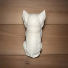 Vintage Porcelain Adorable White Persian Cat Kitten   Figurine