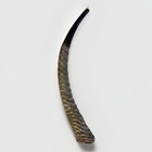 Waterbuck Horn Shofar Yemenite Xl 16   -22    New Kosher Made Free Shipping Usa