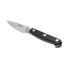 Zwilling Knife Pro  4-inch  Paring Knife