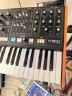 Moog Music Muse 8-voice Analog Bi-timbral Polyphonic Synthesizer  open Box Deal 