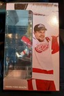Nicklas Lidstrom Detroit Red Wings Nhl Hockey Bobblehead Figure  Sga 10 29 26