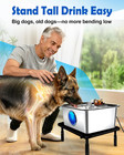 Large Elevated Dog Water Fountain Ss304 12l Ultra-purification Pet Drinking