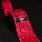 Red Paisley Tie Set For Men Silk Tie Pocket Square Cufflinks Clip Set For Wed   