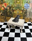 Igma Artisan- Kitten Miniature Ooak 1 12 Handmade Dollhouse Realistic Sculpt Cat