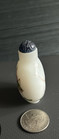 Vintage Chinese Hand Painted Grasshopper Scene Signed Snuff Bottle