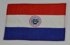 Gemini 10 X Flown Flag Signed Coa Paraguay John Young Michael Collins Space Nasa