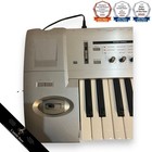 Korg Triton Le61 Synthesizer Keyboard Music Workstation