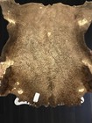 Buffalo Hide Robe rug blanket - Early Cavalry  Military Marked  buffalo Solider 