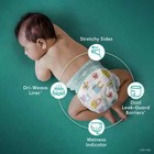 Pampers Baby Dry Baby Diapers Size 4  144 Count