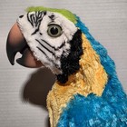 Rare Hasbro Furreal  Squawkers Mccaw Animatronic Talking Parrot Remote   Perch