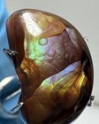 Beautiful 6 7ct Fire Agate Choice High Grade Mine Carved Cabochon  0094natural