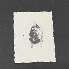 Wehrmacht Officer Closeup Wwii Ww2 German Third Reich Wartime Military Photo