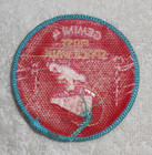 Nasa Gemini 4 First Space Walk Souvenir Embroidered 3  Patch Unused