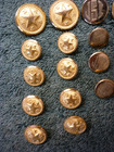 Lot Of 20 Reproduction Civil War Era Buttons