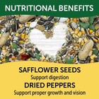  Products Premium Parrot Bird Food Seeds  With Probiotics  8 Lb  Bag  Dry