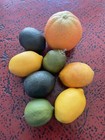 Lot Of 8 Artificial Citrus Lemons Limes Orange Decorative Fake Fruit Staging