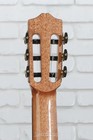 Cordoba C7  Nylon String Acoustic Guitar- Cedar