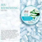 Jeju Aloe Ice Refresh Soothing Gel 300ml 10oz The Face Shop Ice Sherbet Texture