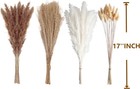 100 Pcs Small Boho Pampas Grass  17  Naturally Dried Pompas  Brown  White 