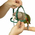 Parrot Bird Harness Leash Adjustable Training Rope Flying Traction Straps Band 