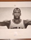 Vintage Michael Jordan Nike Wings Poster 24in X 76in Original Printing 