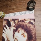 Kate Bush The Dreaming Album Promo Poster Display 20x30 Vintage 1982 Emi America