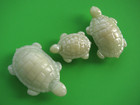 Three Realistic Turtle Buttons Vintage Celluloid Buttons Two Sizes Lot A