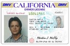 1985 Back To The Future Drivers License Prop Marty Mcfly Michael J  Fox    