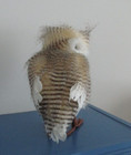 Realistic Owl Figure Some Real Feathers Rustic Cabin Bird Home Decor 10  Tall