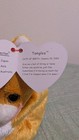 Ty Beanie Babies Tangles Cat 2003 Mwmt