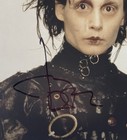 Johnny Depp Edward Scissorhands Signed Autographed 8x10 Photo Coa