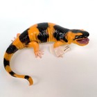 Tiger Salamander By Aaa Solid Rubber Figure Amphibians A a a  New