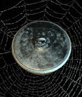 Lg Victorian Picture Button fly Caught In Spider Web pale Mauve Original Color