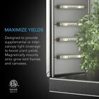 Ionbeam S16  Full Spectrum Led Grow Light Bars  Samsung Lm301h Evo  16-inch