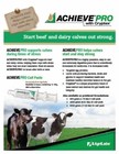 Vet Supply Agrilabs Achieve Pro With Cryptex Paste 60 Gram Calf Cow Newborn