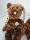 Lot Of 6 Ty Beanie Baby Champion Bears